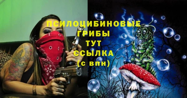 первитин Мегион